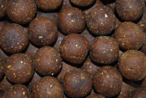 Salmon&Garlic+ Boilies - 2,5kg