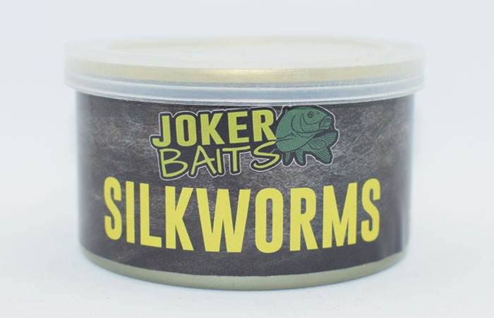 Canned Silkworms (Seidenraupen)