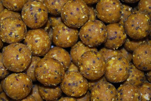 Cream Scopex Boilies - 2,5kg